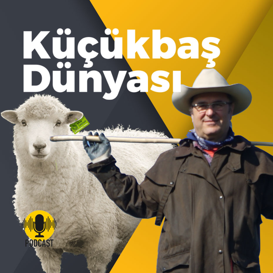 kucukbas-dunyasi-podcast