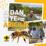 adan-zye-aricilik