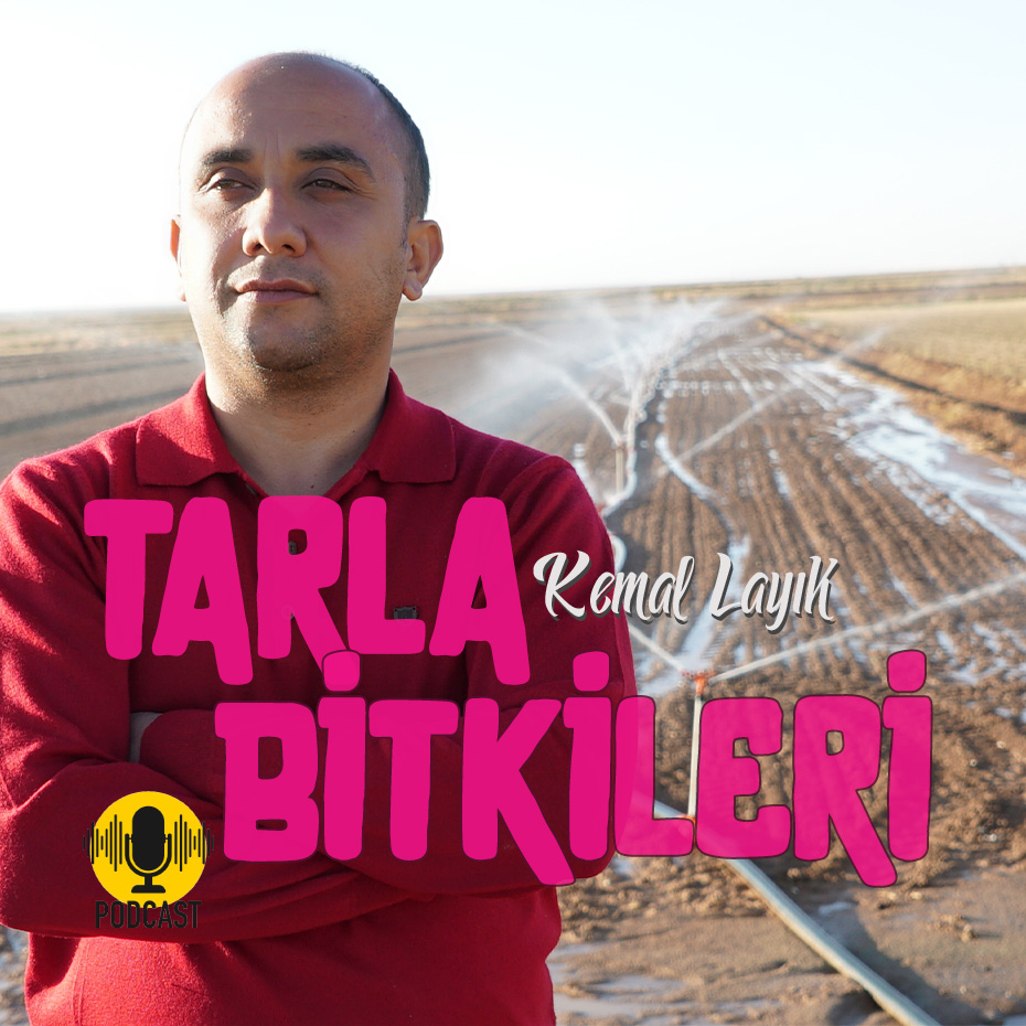 tarla-bitkileri podcast